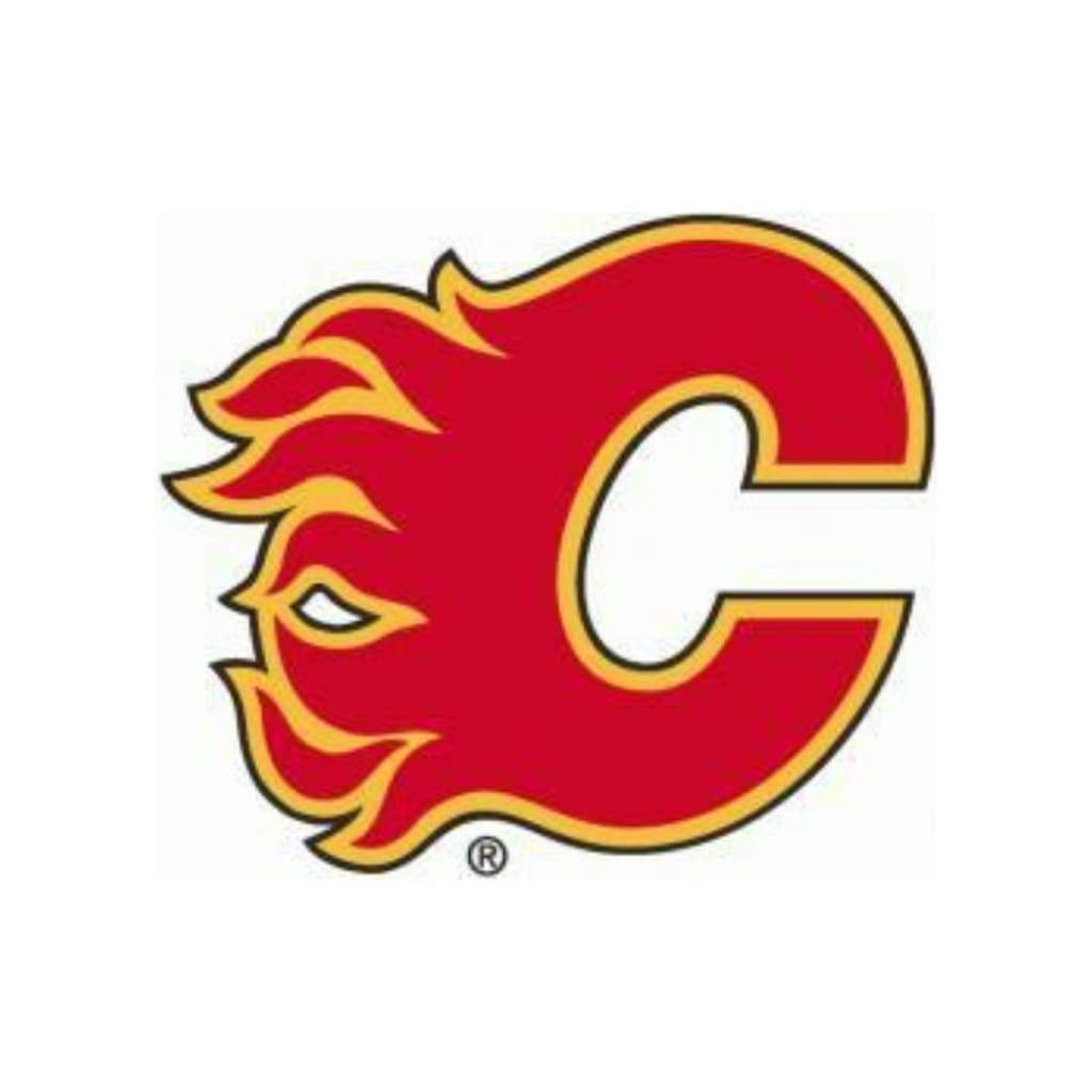 2020-2021 Parkhurst Nhl Team Set Calgary Flames