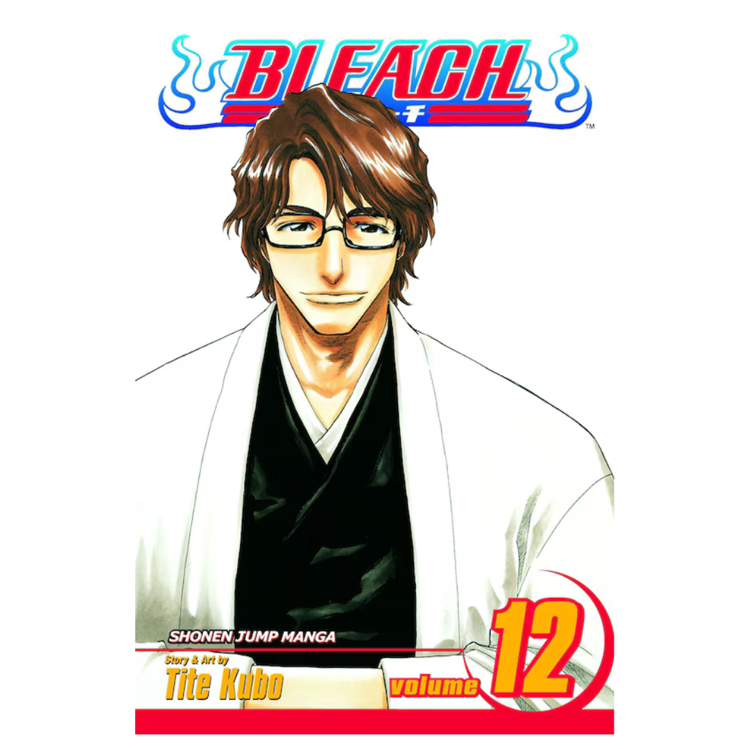 Bleach, Vol. 12