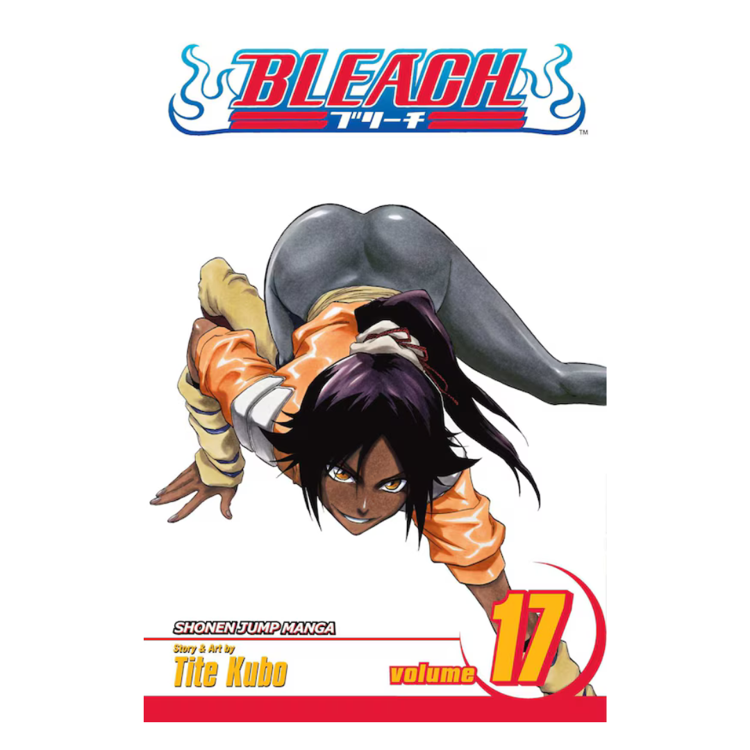 Bleach, Vol. 17