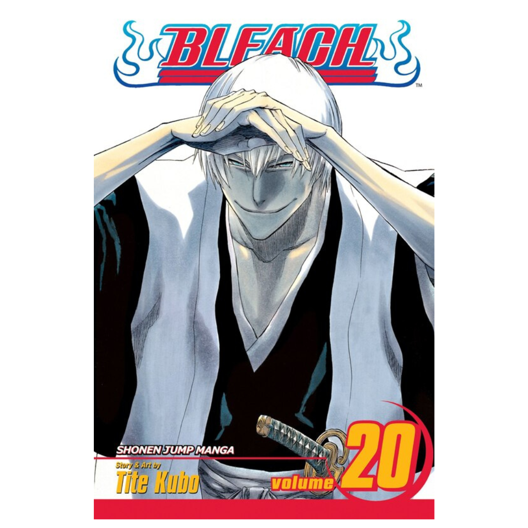 Bleach, Vol. 20
